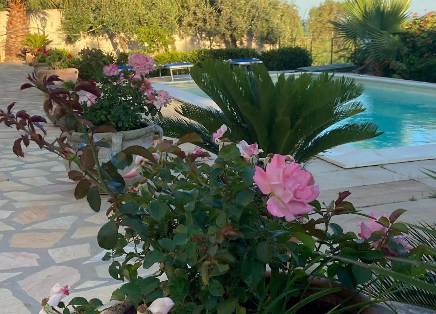 Cala Arenella Bed & Breakfast Sciacca 0*,  Italy
